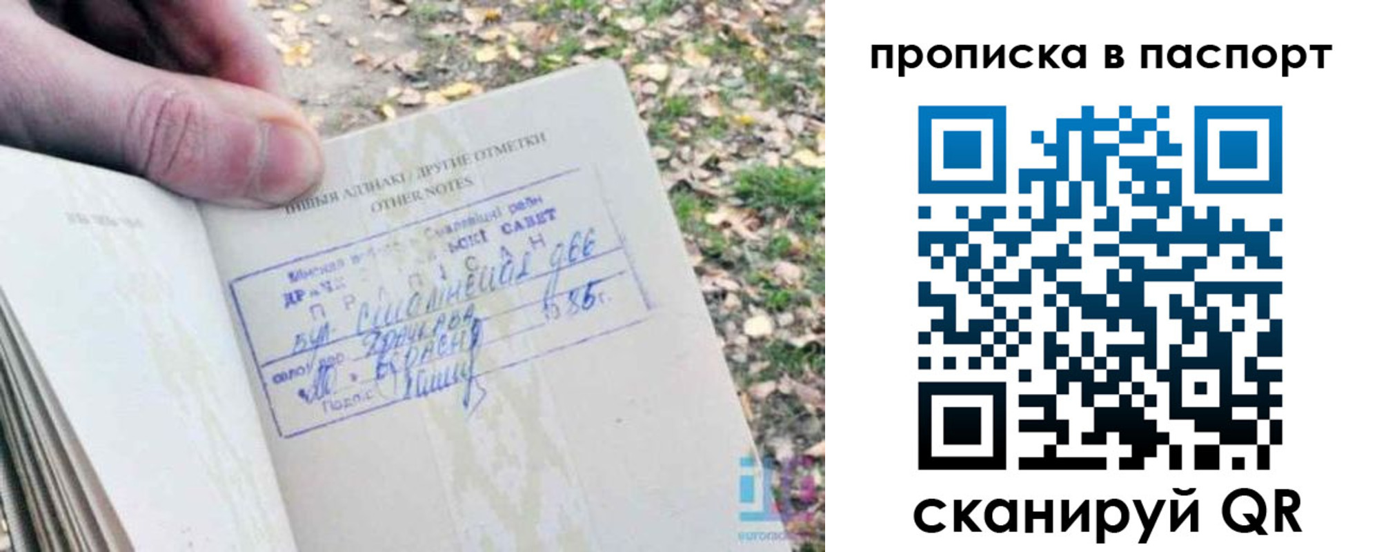 купить прописку в Опочке